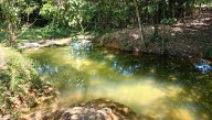 Declaran el humedal ‘Aguas Claras’ como área protegida en Villavicencio