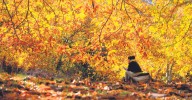 Está a punto de cambiar de color y es uno lugares que debes visitar cada año en Málaga: el Bosque de Cobre
