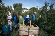 “¡Es que vienen con machetes!”. No son los migrantes: es el capitalismo global