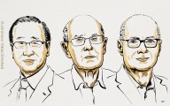 Nobel de Química 2025 a Kitagawa, Robson y Yaghi por el desarrollo de estructuras metalorgánicas