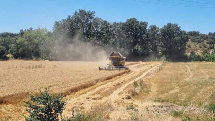 Una de cada cinco aragonesas dirige una explotación agrícola