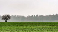 Las lluvias se concentrarán sobre el norte de la región agrícola durante los próximos días