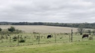 Group of Lee County residents opposed to planned solar farm