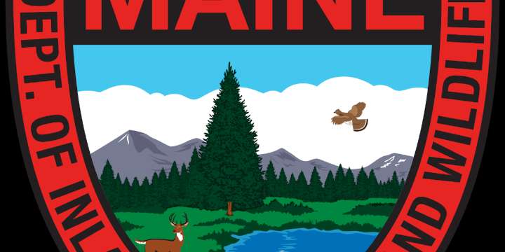 Brewer woman shot in northern Maine hunting accident