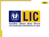 LIC AAO Result 2025 Out at licindia.in; get direct LINK, steps to download here