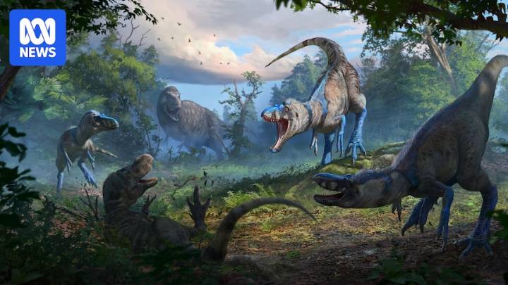 Young T. rex or new species? 'Duelling Dinosaur' fossil might end 40