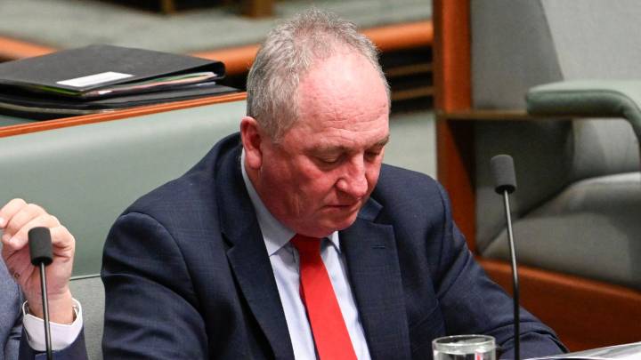 ‘Like a bad marriage’: New England MP Barnaby Joyce reveals details of breakdown with Nationals leader David Littleproud