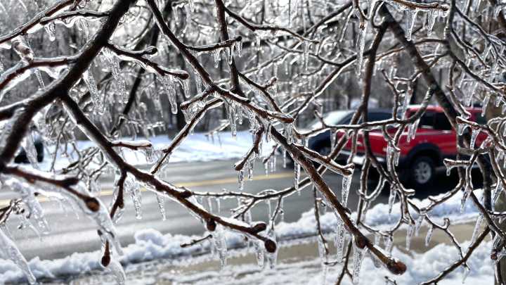 Frost, freeze warnings issued for areas of the UP, northern Michigan. What to know