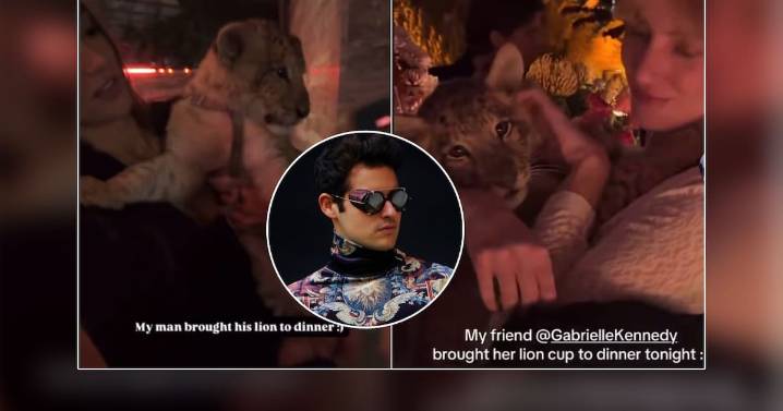 Exhiben a un león bebé en fiesta de Polanco acusando tráfico animal; DJ brasileño que sería su dueño responde