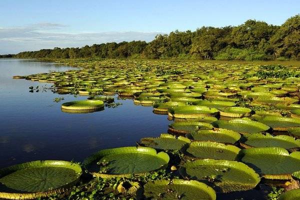 SEGÚN LA ONU! Carlos Pellegrini y los Esteros del Iberá son el mejor destino turístico del mundo