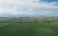 World moving towards larger farms, driven by declining rural populations: Study