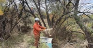 County beefing up natural resources department
