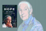 Who Was Jane Goodall? Jane Goodall Books, Classes, Barbies, Buy Online