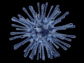 Understanding Listeria: The Silent Threat Behind America’s Most Dangerous Foodborne Illness
