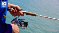 Fishers say new restrictions unfairly target recreational sector amid algal bloom