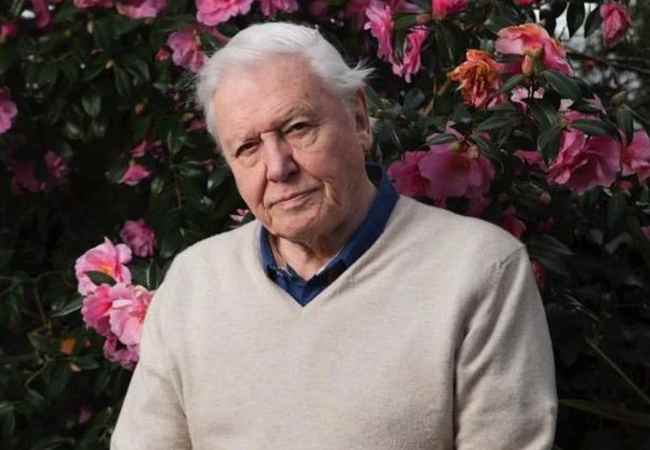 Sir David Attenborough, 99, breaks record as oldest Daytime Emmy...