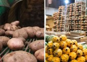 Corabastos publica precios para el lunes 6 de octubre de 2025: la papa sube y algunas frutas bajan