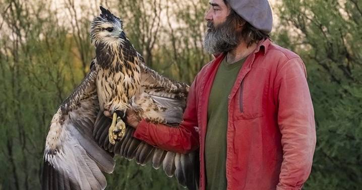 Águila coronada en peligro: novedoso estudio genético de una de las aves más amenazadas del país