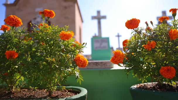 En Zapopan habrá recorridos nocturnos, obras de teatro y exhibición de momias para el Día de Muertos 2025