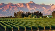 La jugada del Gobierno para subir el Impuesto Inmobiliario en campos premium como los del Valle de Uco