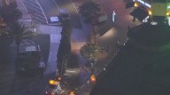 Giant Christmas tree arrives at Citadel Outlets