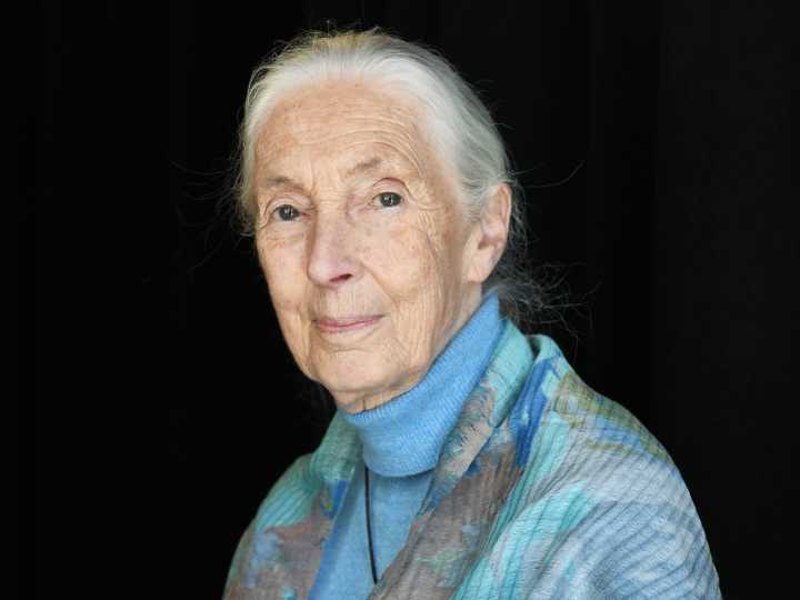 Jane Goodall worked into her 90s. Here are 5 lifestyle habits that might explain how she stayed 'fit as a fiddle' for so long.