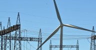 Showdown on green reforms as Labor faces heat on Optus