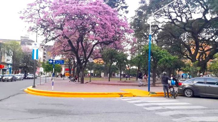 Se espera un domingo agradable y sin lluvia: así sigue el clima