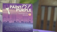 Domestic violence advocates spotlight rising cases amid government shutdown