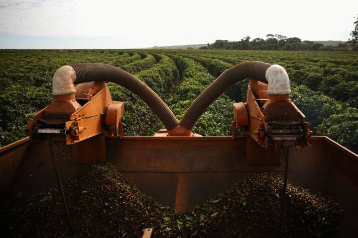 EU deforestation law proposal frustrates Brazilian exporters, Rabobank says