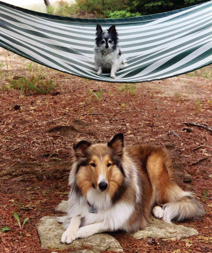 Lizzy’s Fund: Memories as Told by Lizzy ‘The Perfect Child'