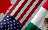 Empresas alemanas frenan inversiones en México hasta que se aclare futuro del T