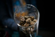 Michigan marijuana industry fights to block 24% cannabis tax