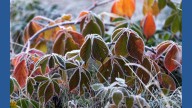 Fall is losing its chill