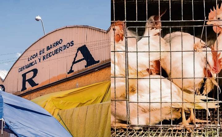 Se apoyará a locatarios que cambien de giro y dejen de vender animales en Mercado de Sonora: Clara Brugada