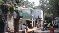 Urgen fomentar cultura de poda responsable ante temporada de huracanes