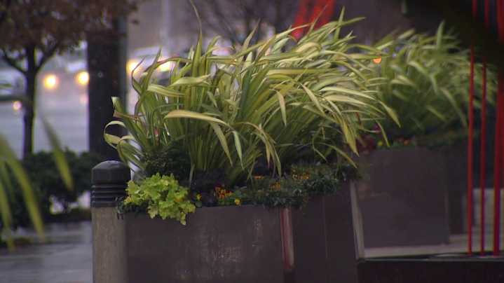 Western Washington braces for soggy Halloween, windy Saturday