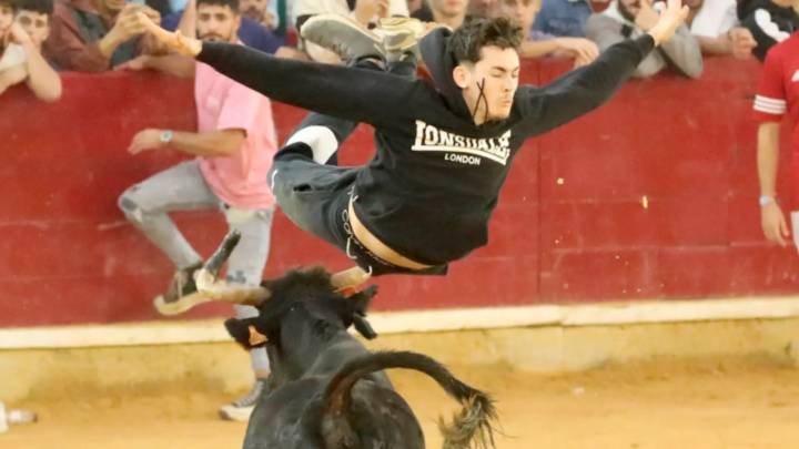 Las vaquillas irrumpen con fuerza en las Fiestas del Pilar de Zaragoza: las ganaderías por días