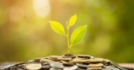How much interest can you earn with a high-yield savings account now?
