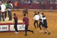 Fiestas del Pilar 2025: ¿dónde ver las vaquillas en directo?