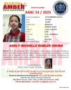 Sigue en calidad de desaparecida Ashly Michelle Robles de 9 años de edad