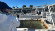American, Canadian schools team up to tackle freshwater oil spill research