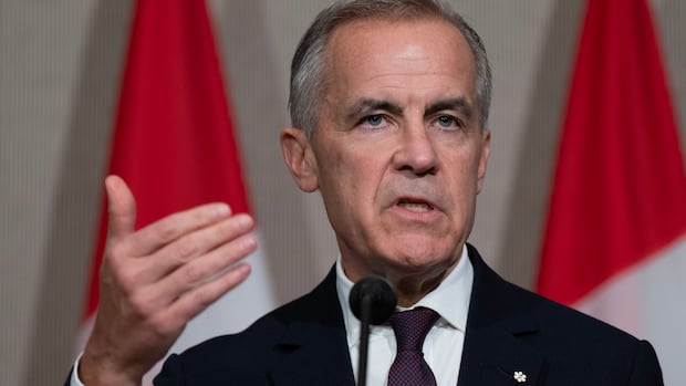 MPs urge Carney government to release special agency governing documents