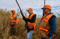 Minnesota Governor's Pheasant Hunting Opener comes to Ortonville