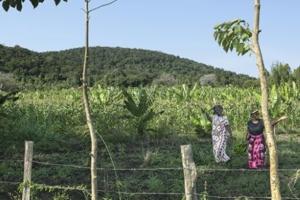 Global race for rare earths comes to Kenya’s Mrima Hill