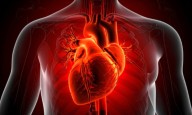 Heart disease, stroke and diabetes leading death and disability worldwide: The Lancet