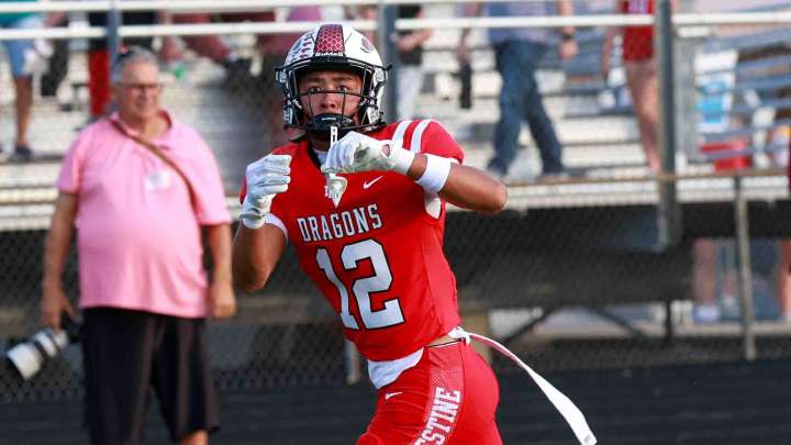 New Palestine senior Desmond Palmer's unlikely journey to be a star