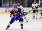 Saskatoon Blades import Willhoft a team