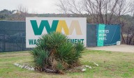 Waste Management offers free brush pickup in Marble Falls