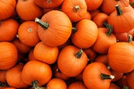 YMCA of Youngstown invites families for Halloween fun this weekend